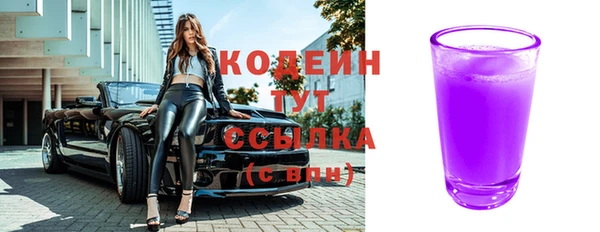 мдпв Гусев