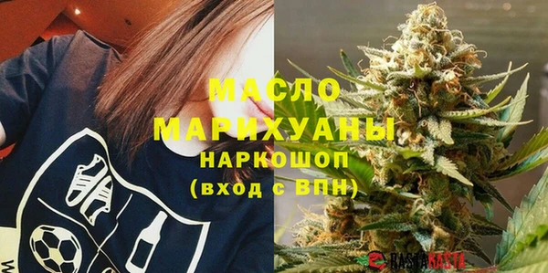 мдпв Гусев