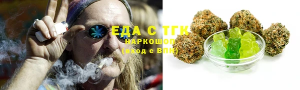 мдпв Гусев