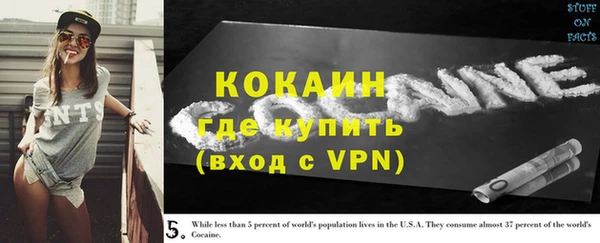 мяу мяу мука Горно-Алтайск