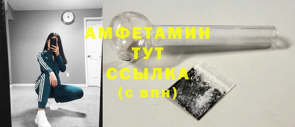 мдпв Гусев