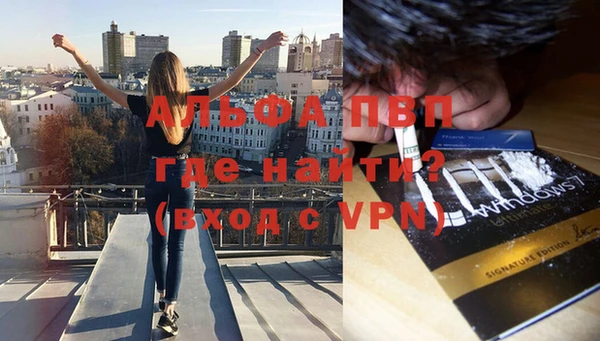 мдпв Гусев