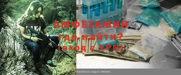 мдпв Гусев