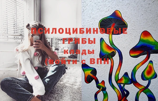 альфа пвп Гусь-Хрустальный