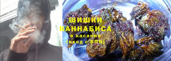 мдпв Гусев