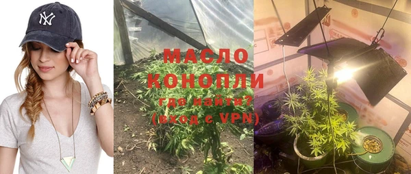 мдпв Гусев