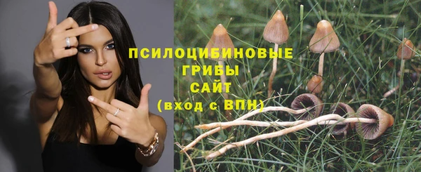 альфа пвп Гусь-Хрустальный