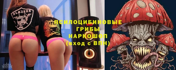 мдпв Гусев