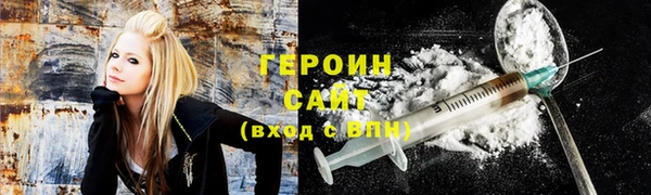 мдпв Гусев