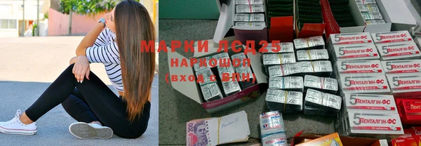 мдпв Гусев