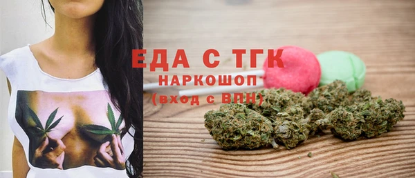 мдпв Гусев