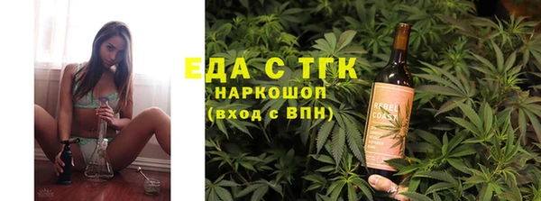 мдпв Гусев