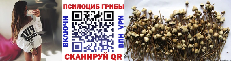 наркошоп  Березники  hydra ссылки  Псилоцибиновые грибы Cubensis 